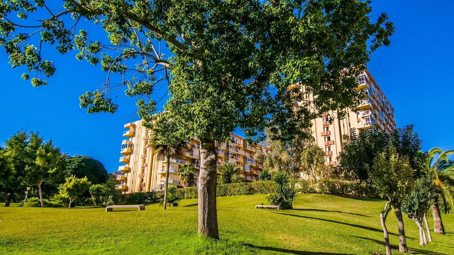 426 Estudio En Minerva Apartamentos - Vista Al Jardin - Piscina Y Playa 베날마데나코스타 아파트