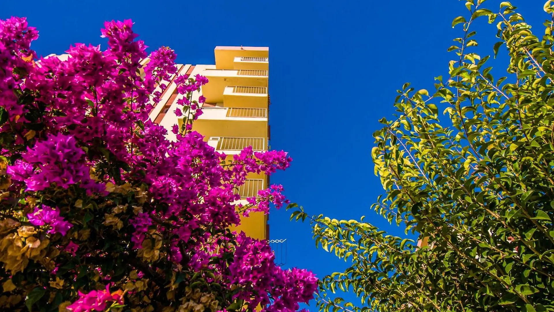 426 Estudio En Minerva Apartamentos - Vista Al Jardin - Piscina Y Playa 베날마데나코스타